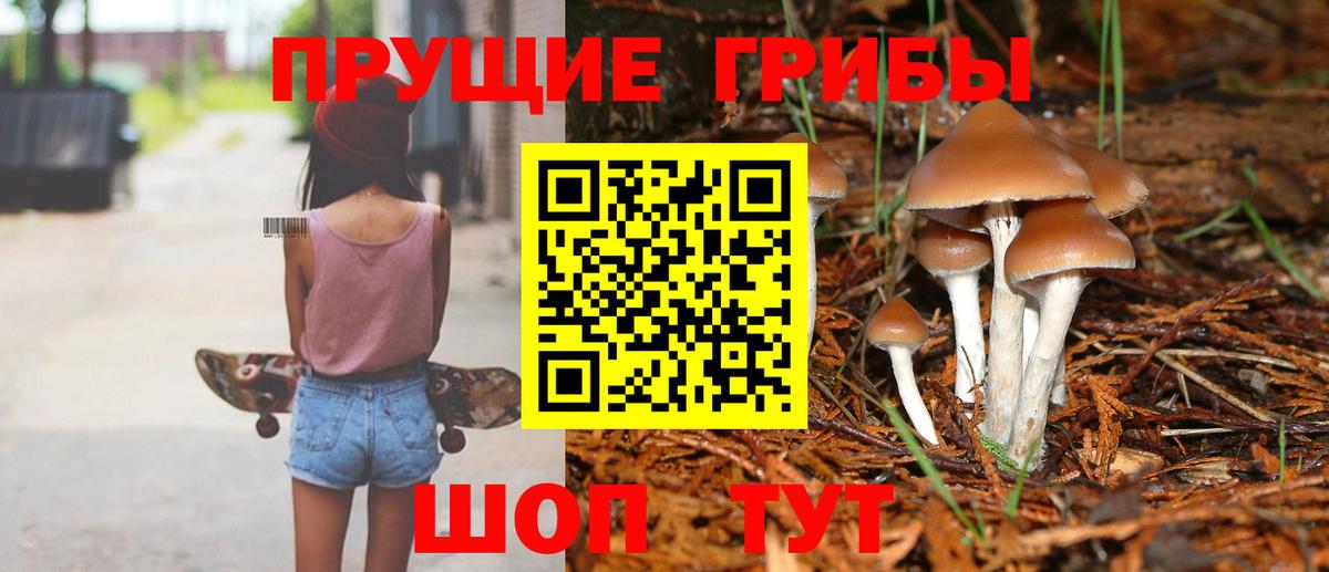 Сорочинск  Псилоцибиновые грибы MAGIC MUSHROOMS  Псилоцибиновые грибы мухоморы  Вход с VPN 